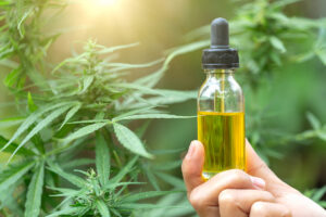 CBD Oil for Pain Relief: What Science Says About Its Effectiveness